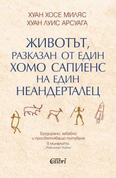 Колибри