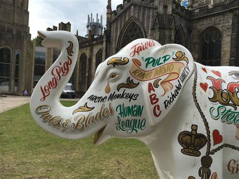 Herd Of Sheffield Izzy Graham Hogg Geograph Britain And Ireland