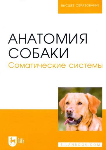 Книга: "Клинические методы коррекции поведения собак и кошек" - Карен ...