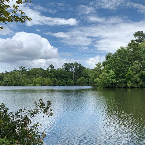 Spotlight On Lake Marion Lakehub