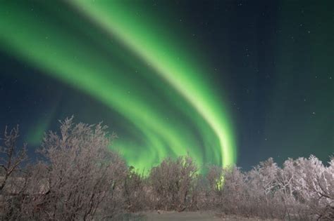 Abisko National Park Northern Lights Tour Book At Civitatis