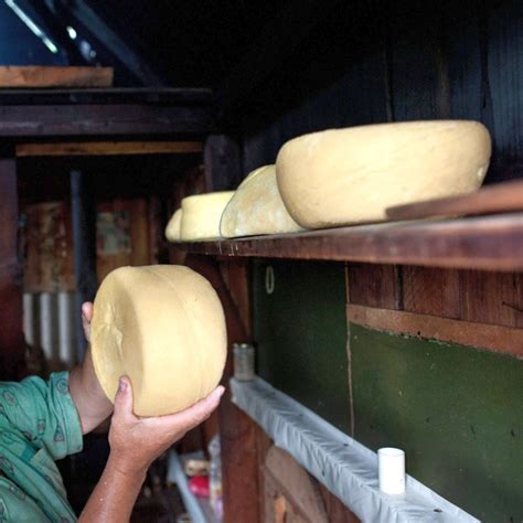 22 тона кашкавал унищожи вчера българската агенция по храните (Снимка ...