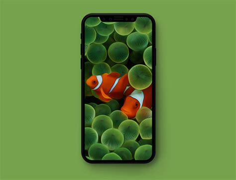 Iphone Original Wallpaper at Stephen Jamerson blog