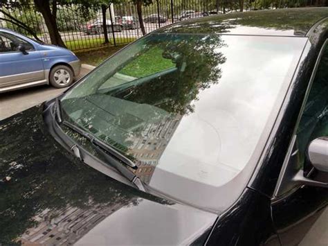 Какое лобовое стекло поставить на Камри 50? Рекомендации и советы