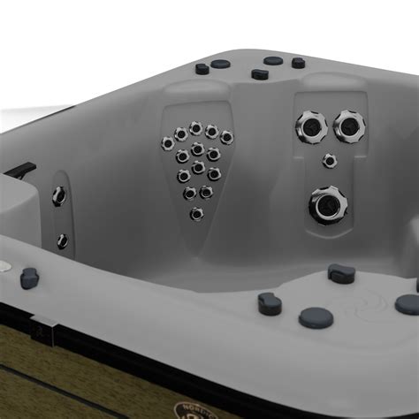 D Model D Model Of Hot Tub Jacuzzi Nordic Spas Rendezvous LS VR AR