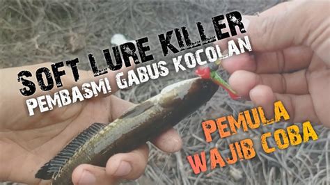 Casting Ikan Gabus Pakai Soft Lure Killer Sangat Bagus Basmi Gabus