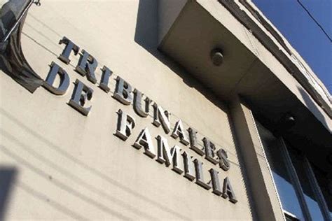 Tribunales De Familia Ya Ingresaron 2 118 Personas Al Registro Nacional