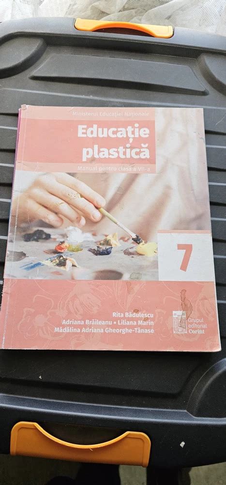 Educatie Plastica Clasa A Vii A Badulescu Braileanu Tanase Marin Alte