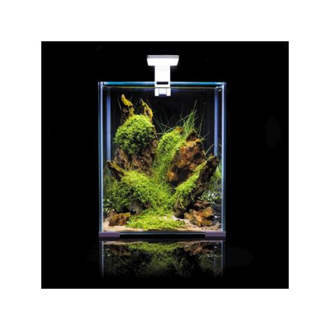 AQUAEL Shrimp set Day & Night 20 - AquaOrinoco