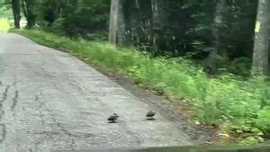 Watch Cocker Gay Cock Cock Sucking Porn Spankbang