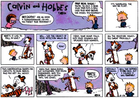 Chronicles Of Calvin N Hobbes Love Defined The Hobbes Way