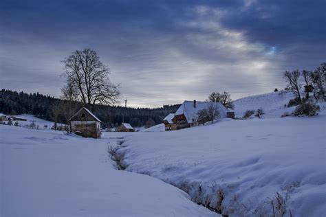 Free Images Landscape Tree Water Nature Horizon Wilderness Snow