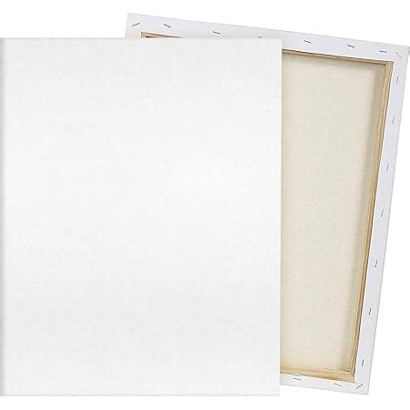 Amazon Pre Stretched Canvases For Painting X Pack Large