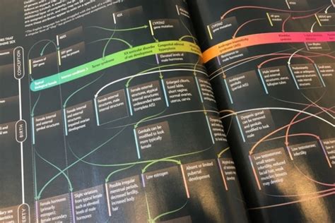 Visualizing Sex As A Spectrum Dr Dick S Sex Advice