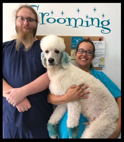 animal grooming schools near me 1