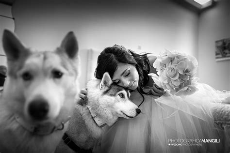 Le Tue Dog Sitter Per Matrimoni Siamo Attivi In Tutta Italia