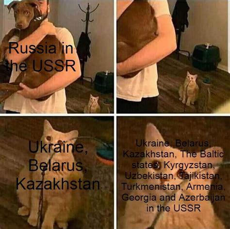 Why does no one talk about them? : r/Limenade