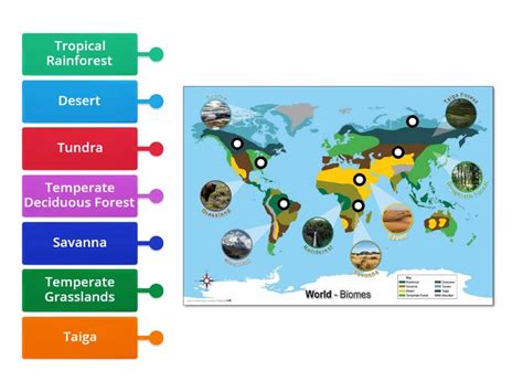 biomes map labelled diagram