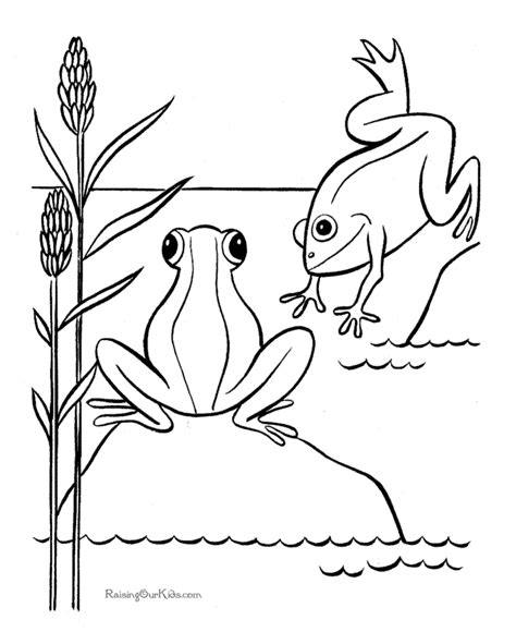 Frog Pond Coloring Page