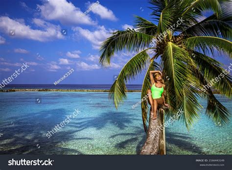 Beautiful Woman Bikini On Palm Tree Stock Photo 2166443149 Shutterstock