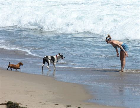 Ireland Baldwin S Sexy Ass In Vintage Bikini 85 Photos The Fappening