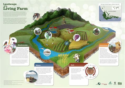 7 Sustainable Agricultural Innovations Toronto Sustainability Tsss