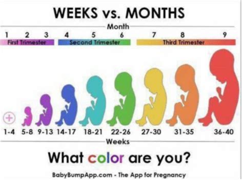 When Does 2nd Trimester Begin Babycenter