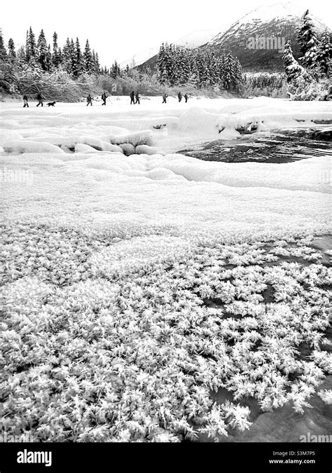 Hiking in the Alaskan Wilderness in winter time Stock Photo - Alamy