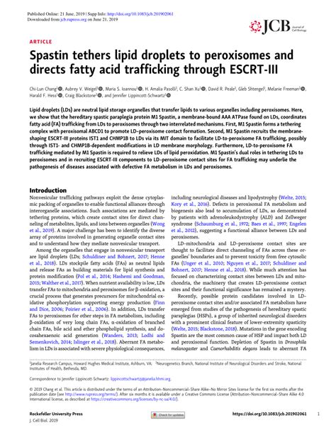 Pdf Spastin Tethers Lipid Droplets To Peroxisomes And Directs Fatty Acid Trafficking Through