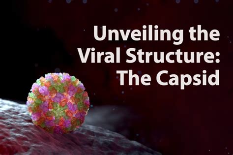 Unveiling the Viral Structure: The Capsid | VIROLOGY RESEARCH SERVICES