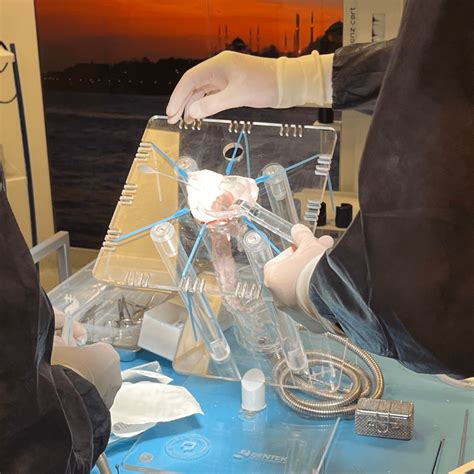 Anal Fist L Fiss R Hemoroid E Itim Seti Praticmed