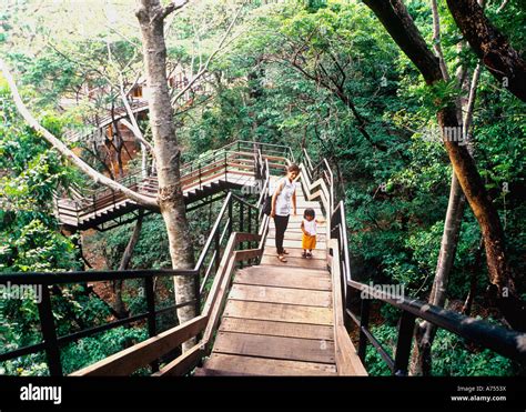 THENMALA ECO TOURISM KERALA Stock Photo, Royalty Free Image: 11727229 ...