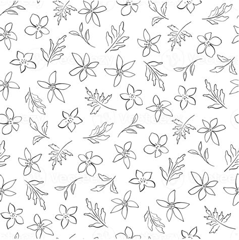 Free Floral Pattern Background Seamless Floral Pattern Floral