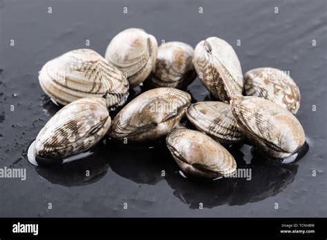 Spicy Flower Clams Hi Res Stock Photography And Images Alamy