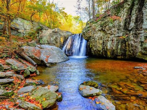 Fall Foliage In Maryland 10 Top Places To Enjoy The Season