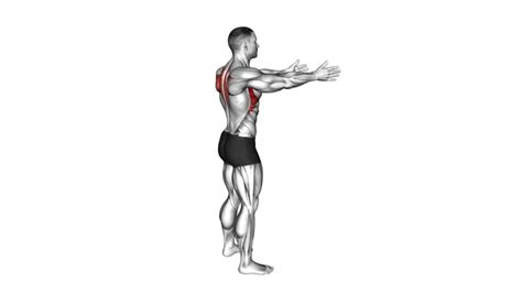 Bodyweight Standing Scapula Row Male Video Guide Tips