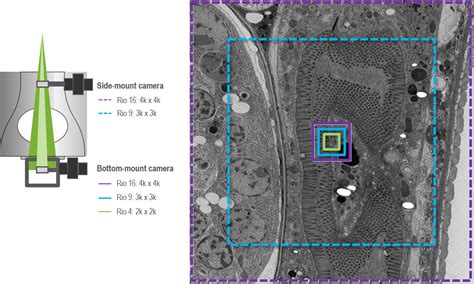 choose   fov   application gatan