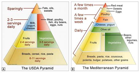 Mediterranean Food Pyramid Vs American Food Pyramid