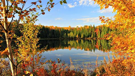 Montana Autumn Wallpapers Wallpaper Cave