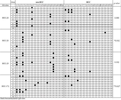 Overexpression Of Centromere Protein K Cenp K Gene In Hepatocellular