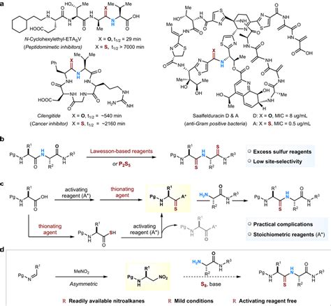 Synthetic Approaches To Bioactive Thioamides A Examples And Importance