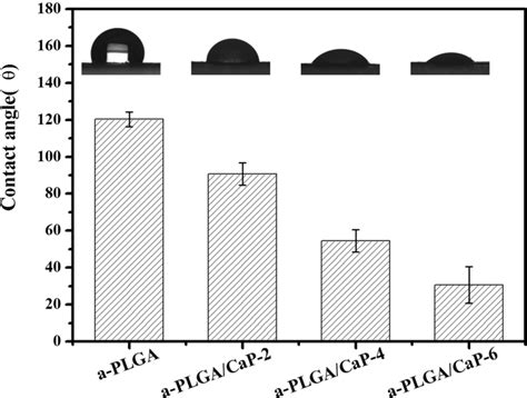 Static Water Contact Angle Of A PLGA And A PLGA CaP Scaffolds