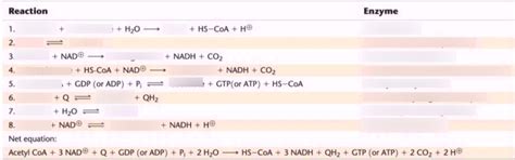 Acetyl Coa Chart Diagram Quizlet