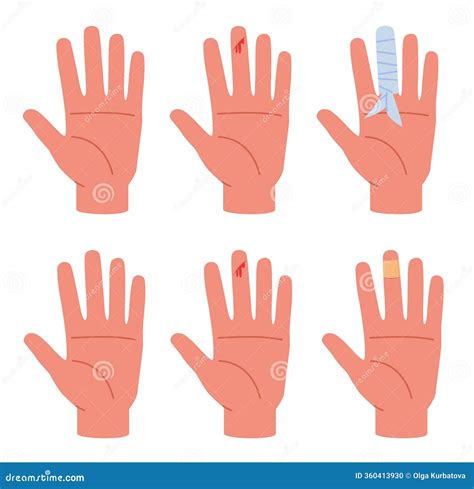 how to treat cut on dog 7