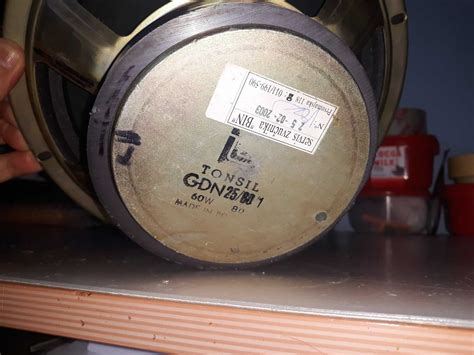 Tonsil Od Babe Devojka Zvu Nici Diyaudio Rs