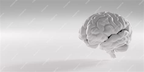 Модель головного мозга человека на сером фоне человеческий интеллект с ...