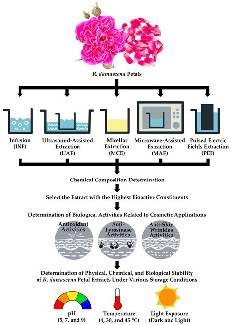 Green Approach for Rosa damascena Mill. Petal Extract: Insights into