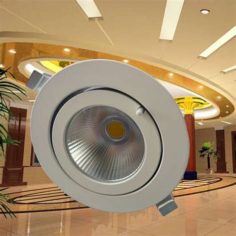 Wholesale W Cob Led Trunk Downlight Cob Ceiling Lamp Ac V