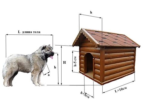 Как рассчитать размеры будки для собаки. | Dog house, Dog house diy ...