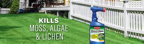 Bioadvanced 2 In 1 Moss And Algae Killer And Cleaner Ready To Spray 32 Oz With